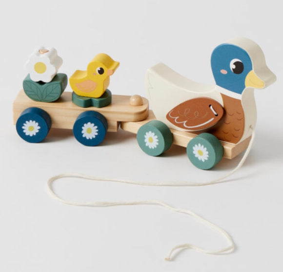 Pull along Duck train Set