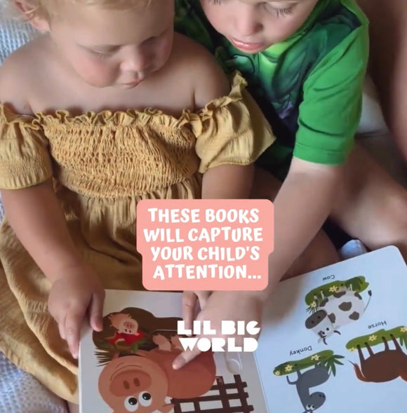 Lil Big World  Childrens Books (1-3 years)