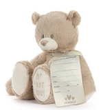 Baby’s First Teddy Bear - Various