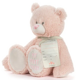 Baby’s First Teddy Bear - Various